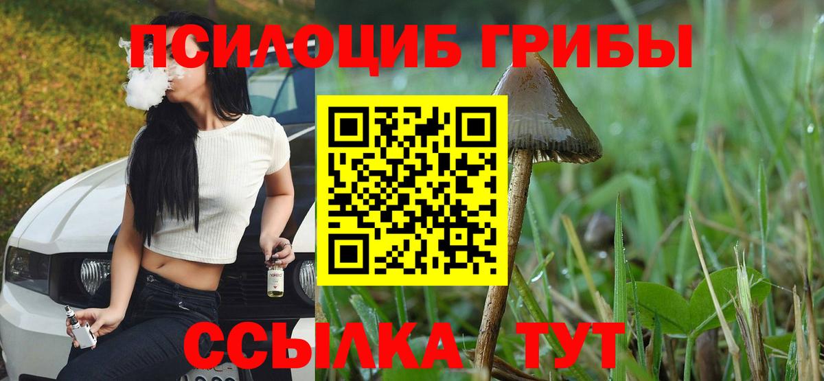 Галлюциногенные грибы мицелий  наркошоп  Мыски 